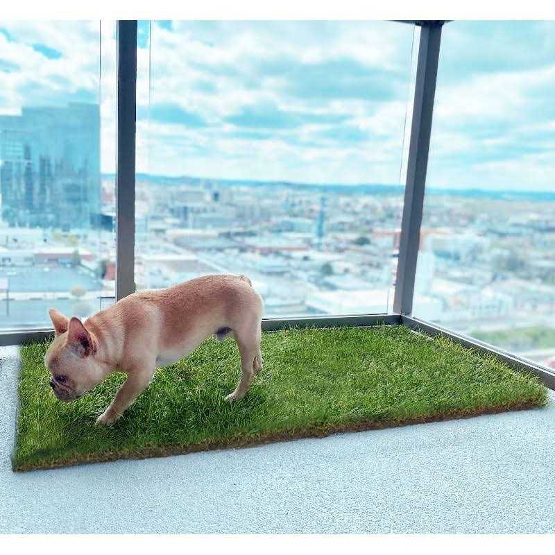 Real Grass Dog Potty H143275