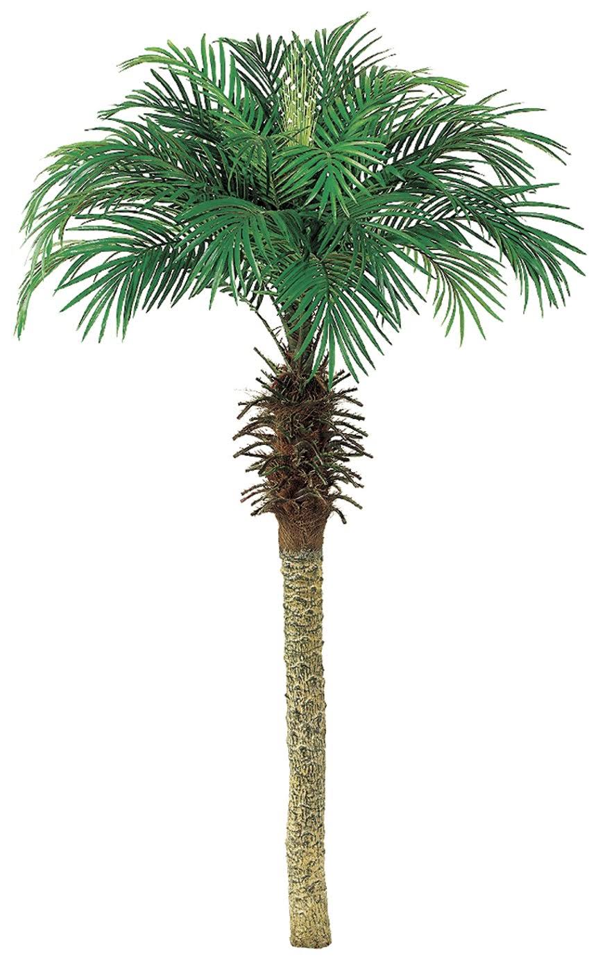 Pack of 2 Palm Tree I323