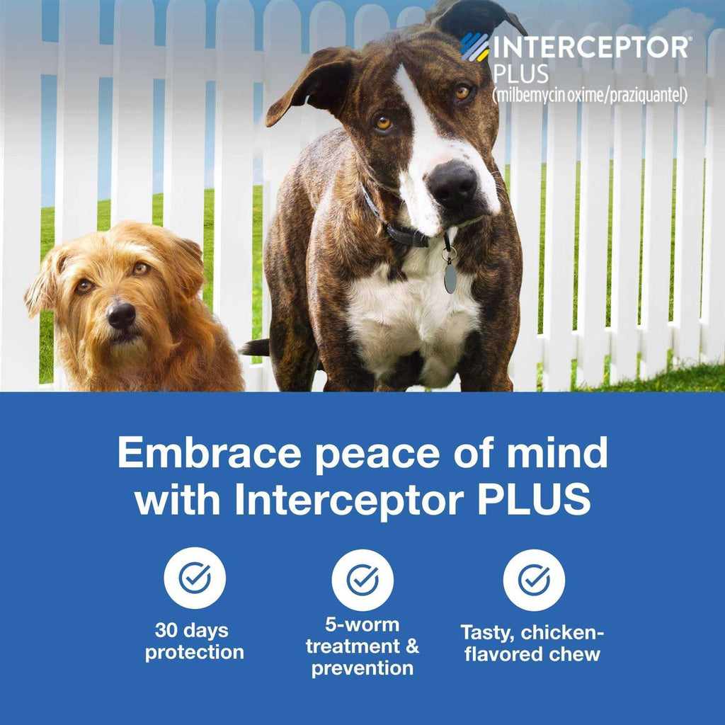 Interceptor Plus Chewable for Dogs J74831
