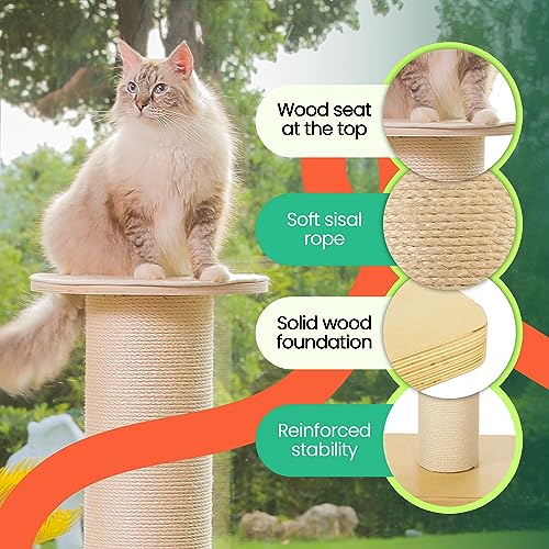 50" Tall Cat Scratching Post, 7.3" Thick Post, Solid Wood Base & Natural Sisal Rope Y27858