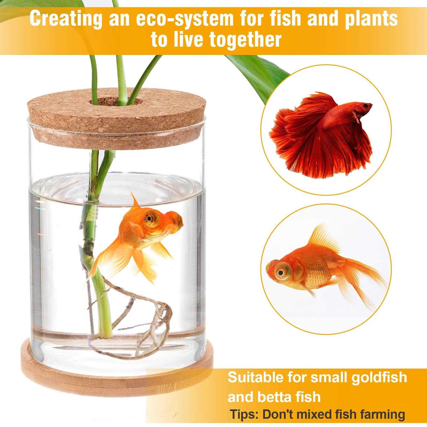 Clear Glass Betta Fish Tank G81033