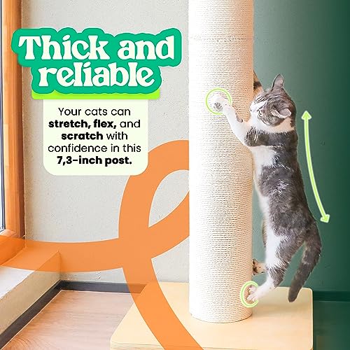 50" Tall Cat Scratching Post, 7.3" Thick Post, Solid Wood Base & Natural Sisal Rope Y27858