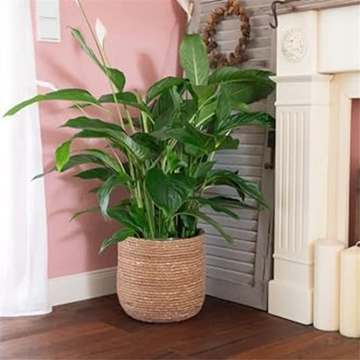 Seagrass Woven Plant Pot with Plastic Film Insert D2723