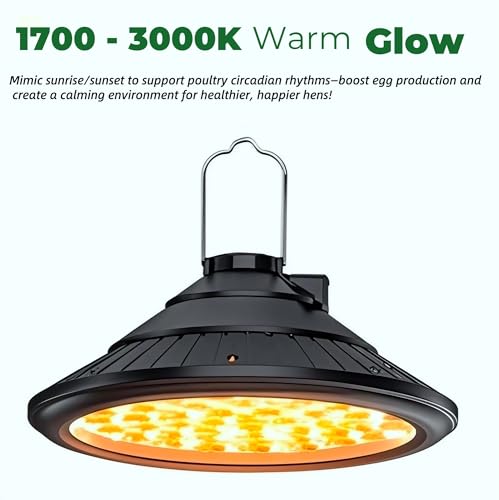 3000K Warm LED Hanging Ceiling Pendant Light with Timer Q3493