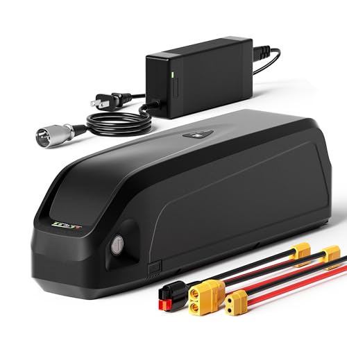 48V 20Ah Li-ion Battery Pack for Electric Bike G4398