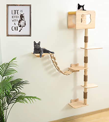 75 Inch Solid Wood Cat Tree Y9394