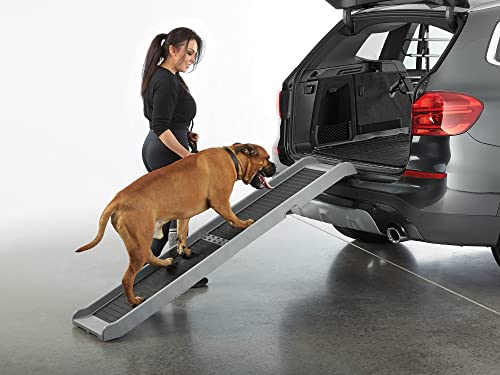 Non-Slip Portable Dog Ramp 67" x 15" B5689