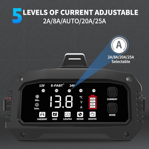 25A 12/24V Lifepo4 Lead Acid Car Battery Charger B18922