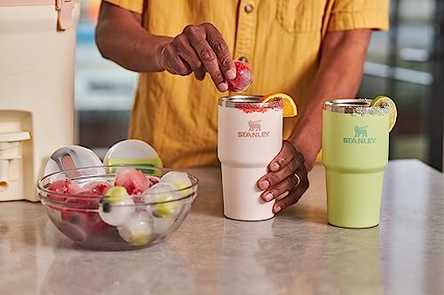Stainless Steel Vacuum Insulated Tumbler with Lid and Straw M876