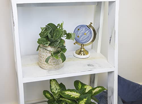 4PK Live Pothos Indoor Houseplants C5908