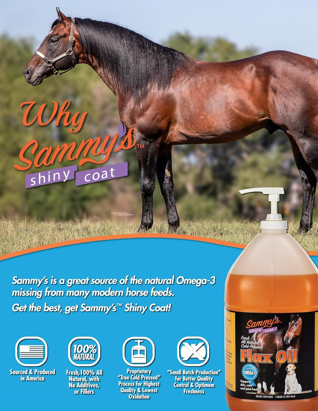 Pure Flaxseed Oil for Horses, 1 Gallon V508841