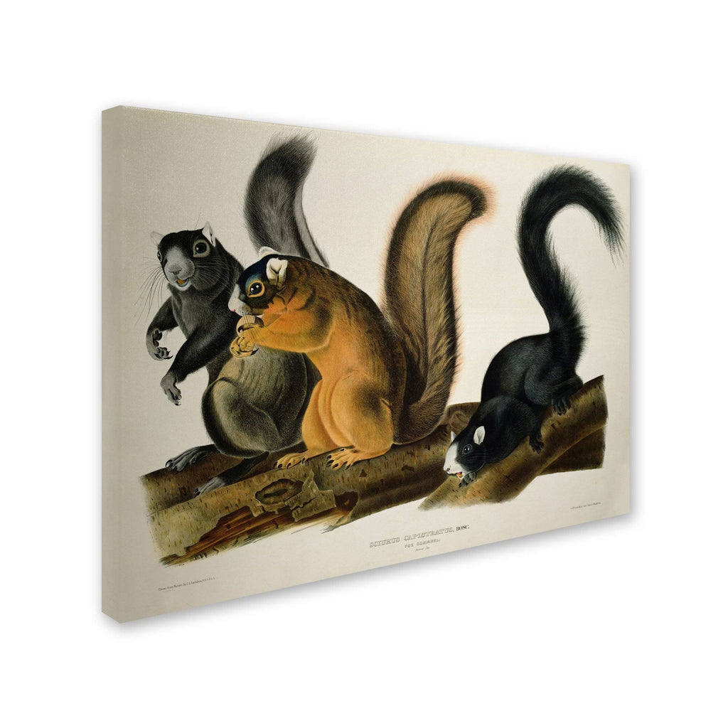 Canvas Art Z760