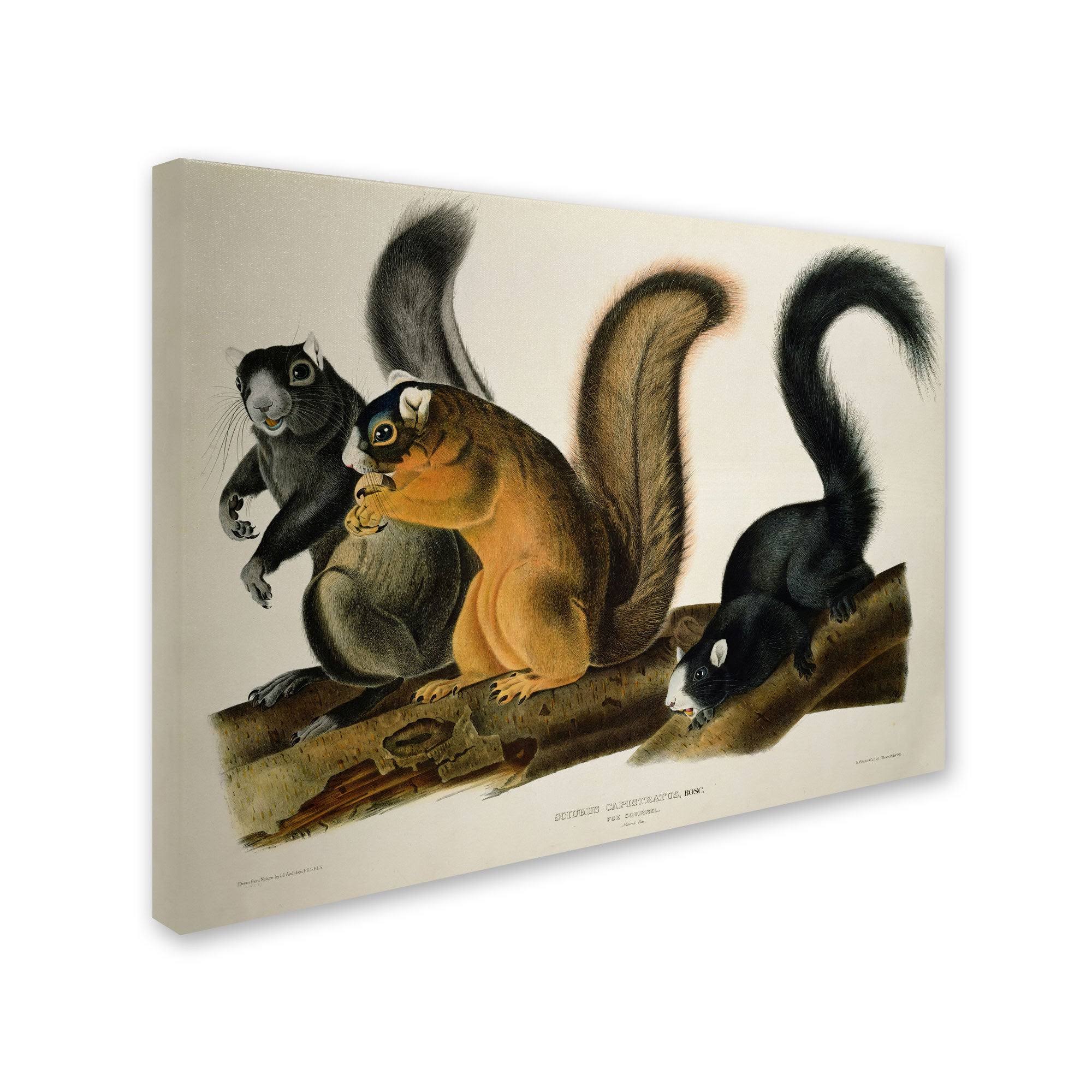 Canvas Art Z760
