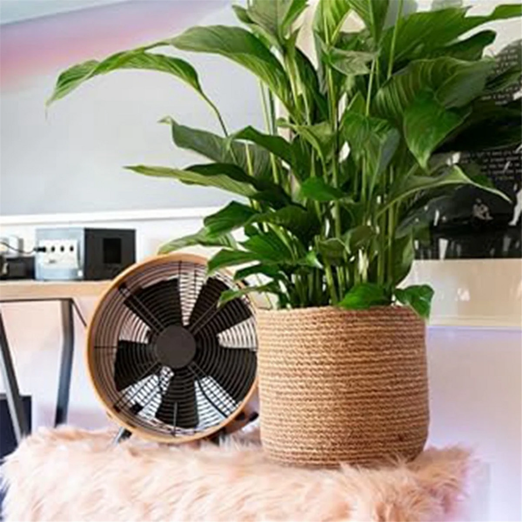 Seagrass Woven Plant Pot with Plastic Film Insert D2723
