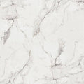 4 ft. x 8 ft. Laminate Sheet in Calacatta Marble B1519