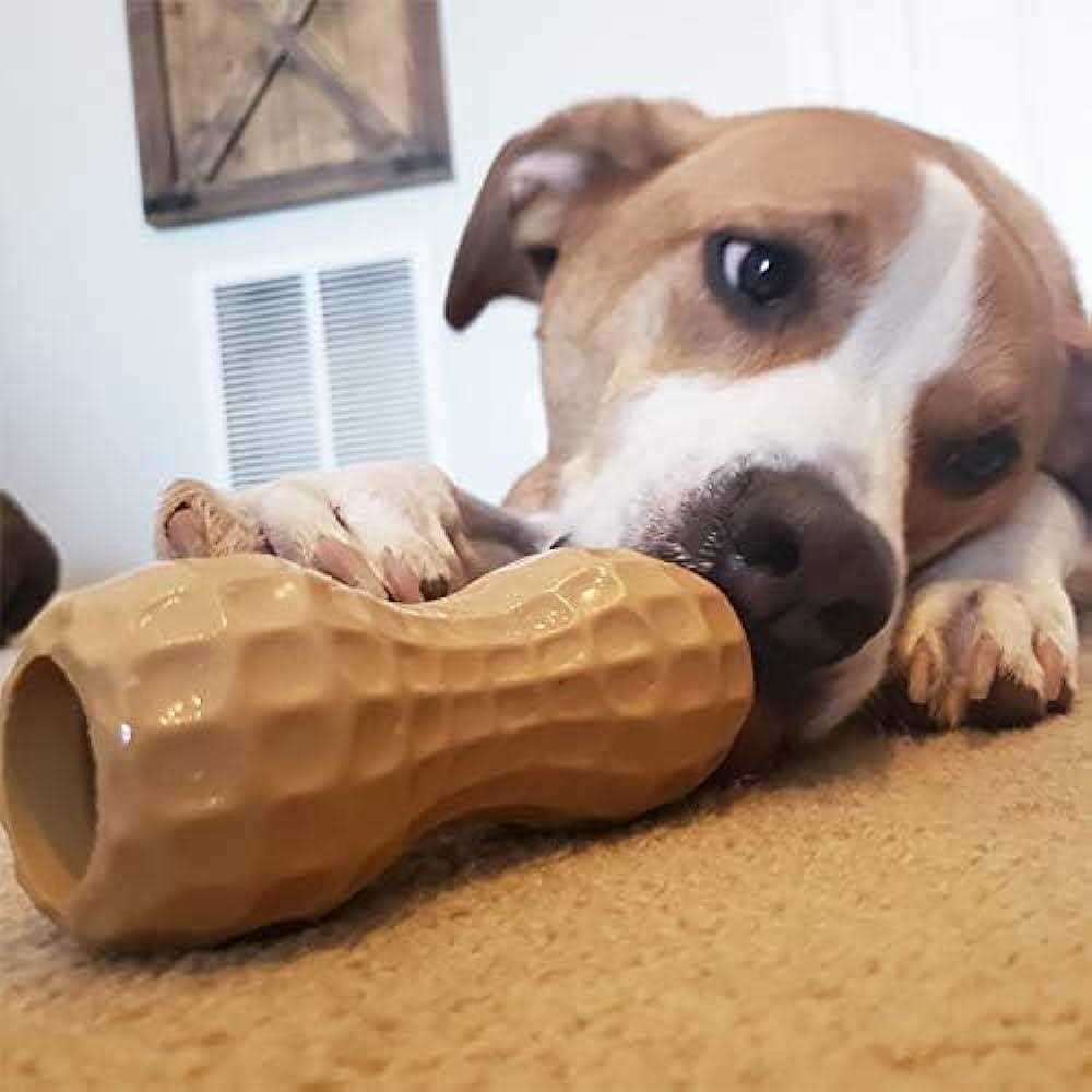 Peanut Butter Dog Toy M5755
