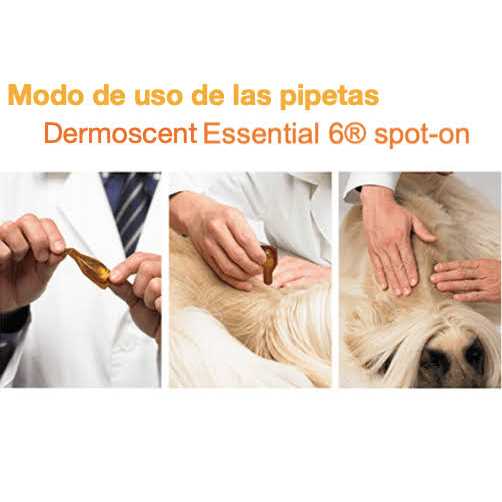 Essential 6 Spot-On Dogs O275015
