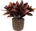 8" Artificial Foliage Plant in Textured Pot Z583