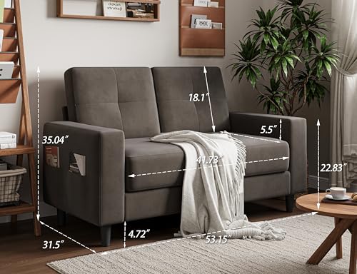 Brown 53" 2 Seater Loveseat Sofa Z822935