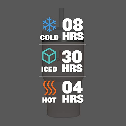 Stainless Steel Vacuum Insulated Tumbler with Lid and Straw M876