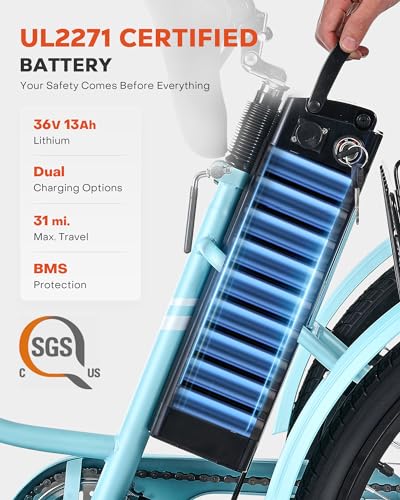 24 inch 250W Electric Tricycle with 468Wh Removable Battery H8256