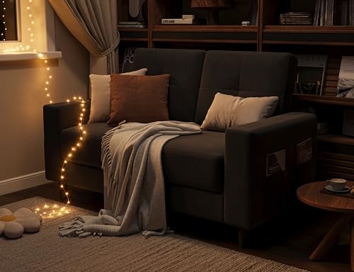 Brown 53" 2 Seater Loveseat Sofa Z822935