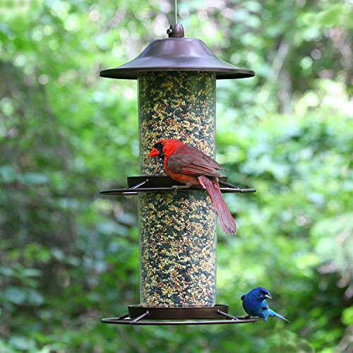 Panorama Bird Feeder M7288