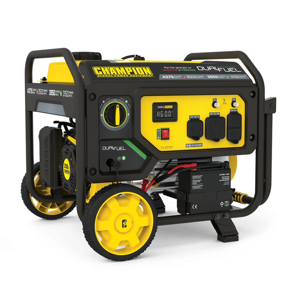 3500-Watt Dual Fuel Portable Generator with Electric Start R481