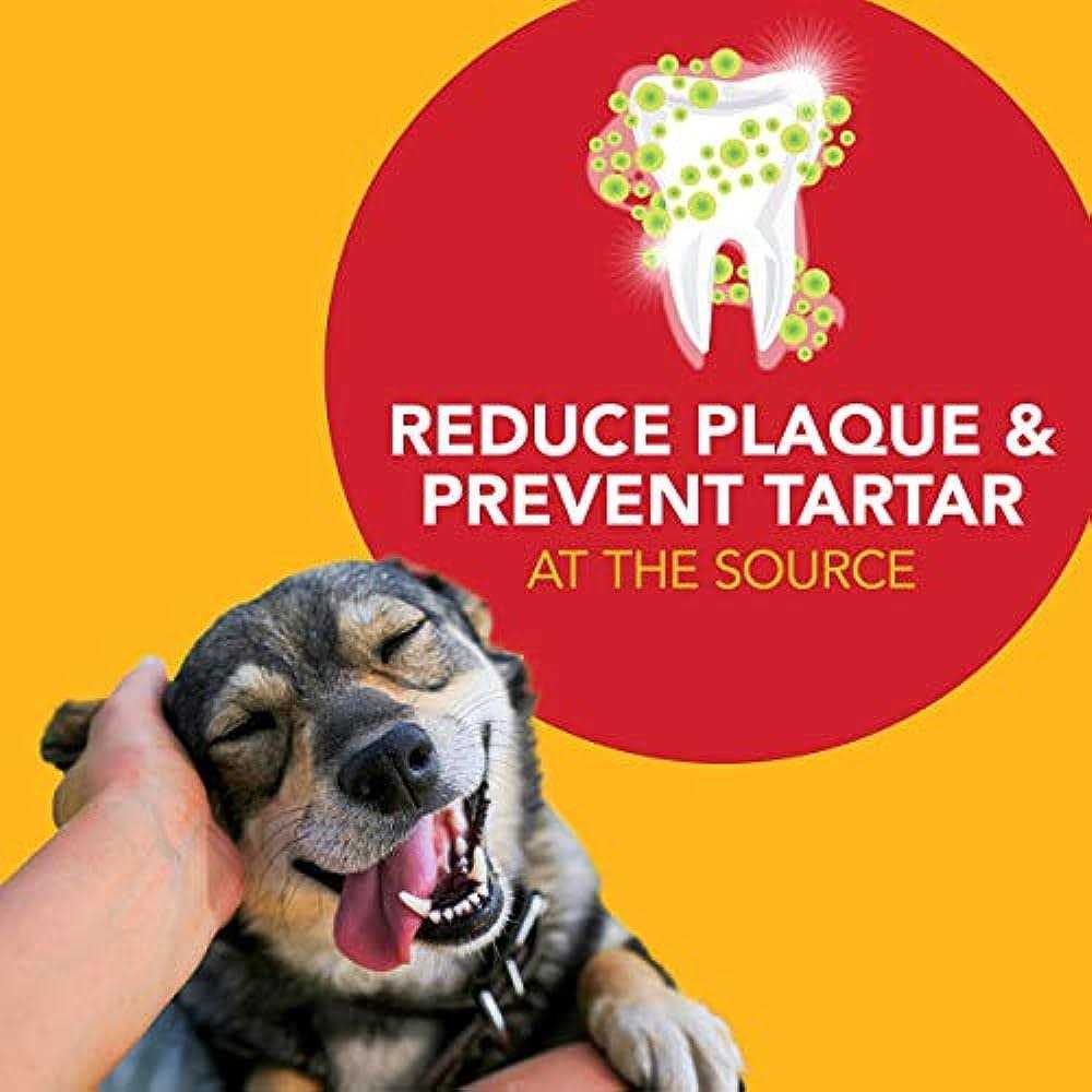 Natural Toothpaste for Dogs L28111