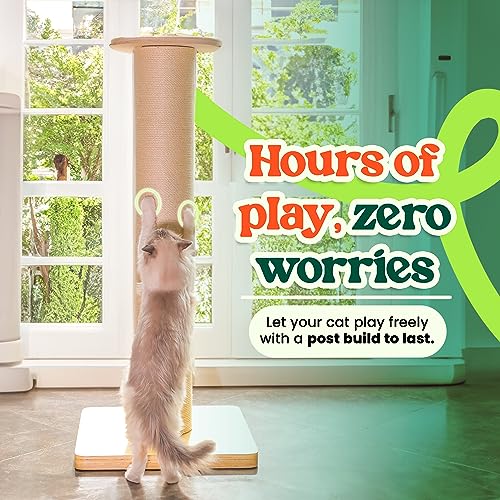 50" Tall Cat Scratching Post, 7.3" Thick Post, Solid Wood Base & Natural Sisal Rope Y27858