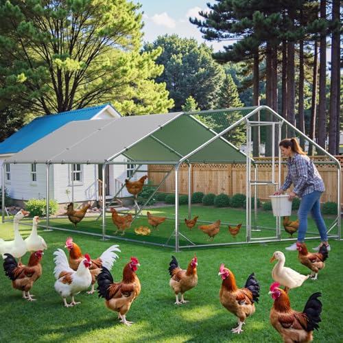 Large Chicken Coop with Anti-UV Cover D6378