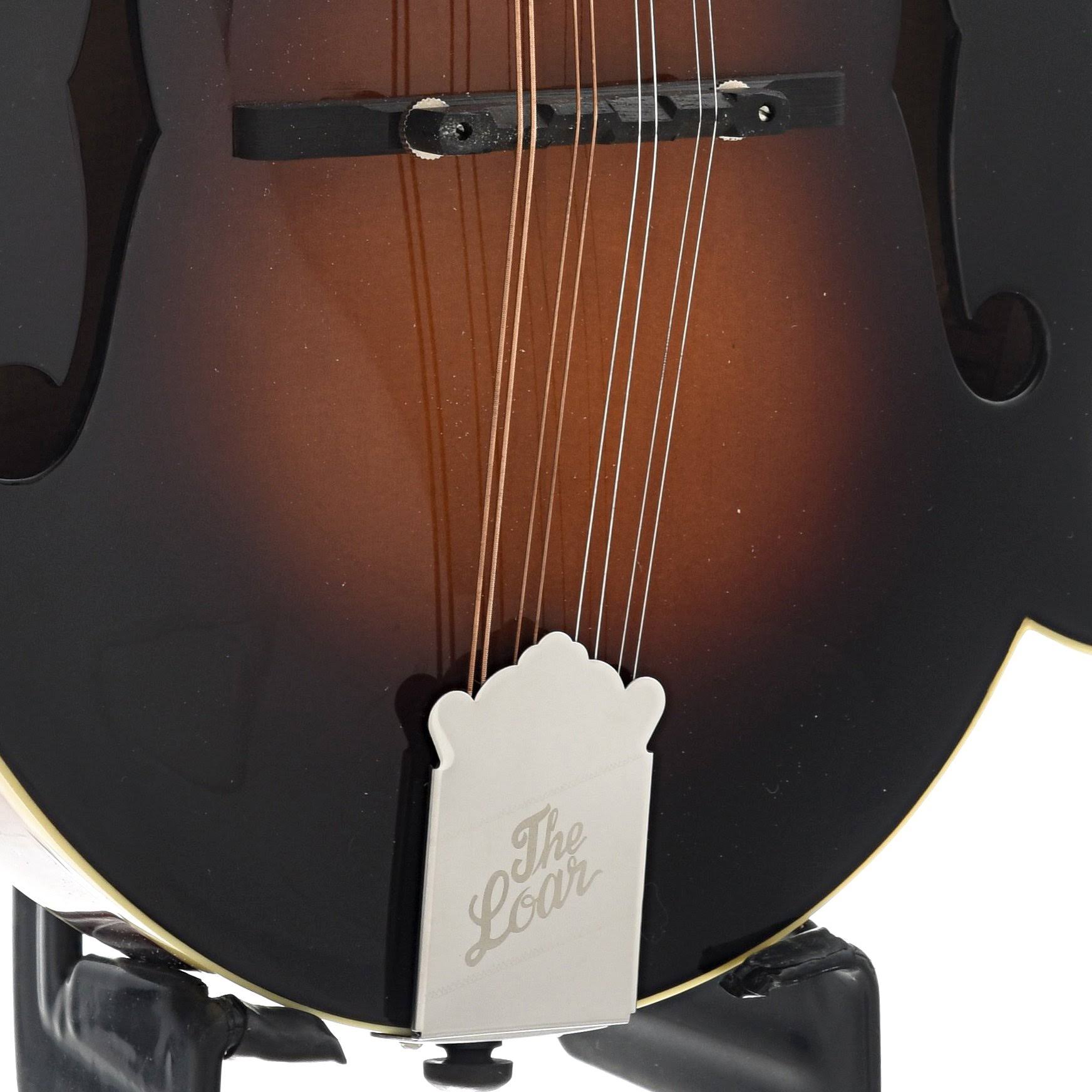 Hand Carved F-Style All Solid Mandolin with Case G33243