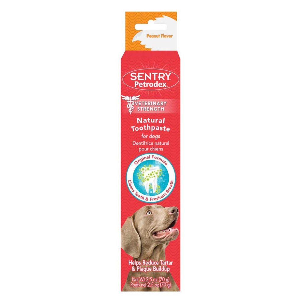 Natural Toothpaste for Dogs L28111