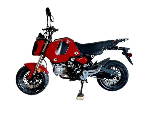 125cc Gas-Powered Street Motorcycle A4933