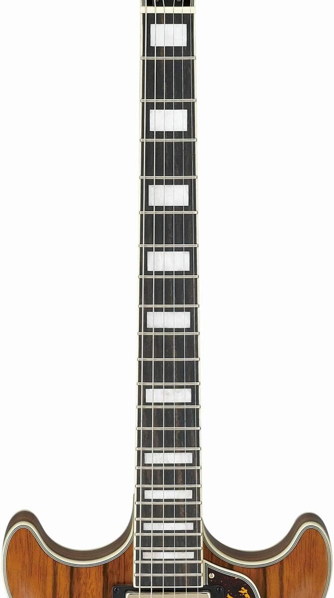 Macassar Ebony Semi-Hollow Body Electric Guitar C5291