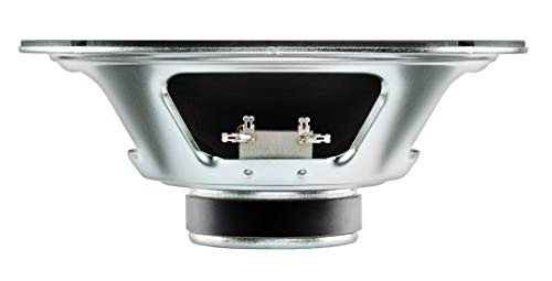 Ten 30 Guitar Speaker A4261