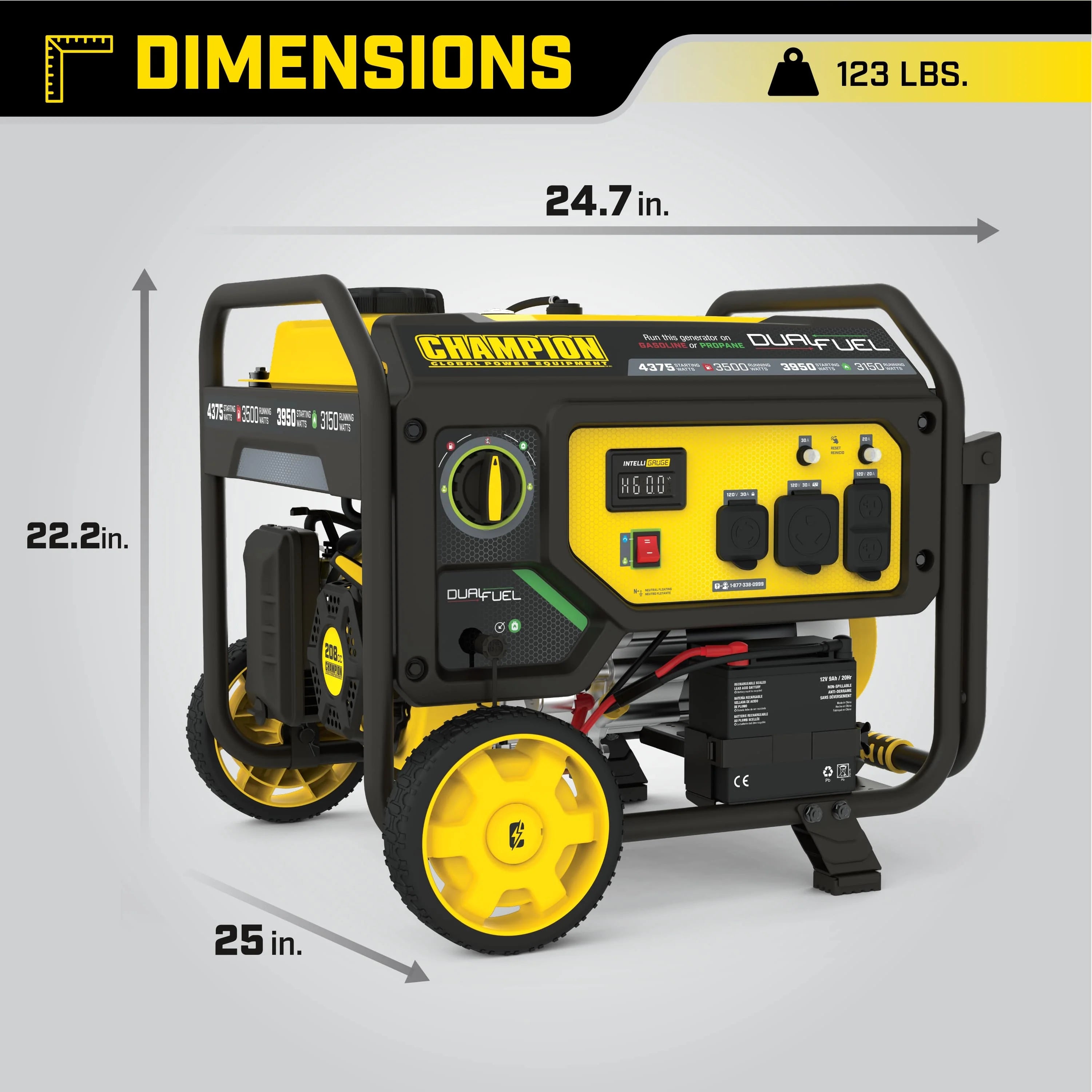 3500-Watt Dual Fuel Portable Generator with Electric Start R481