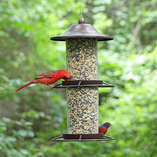 Panorama Bird Feeder M7288