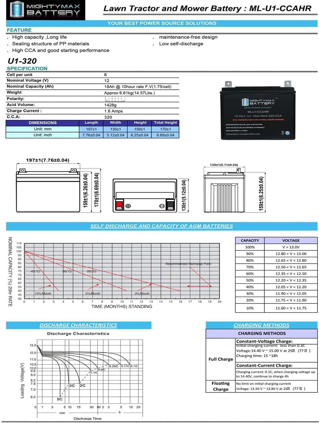 12V 320CCA Battery C554