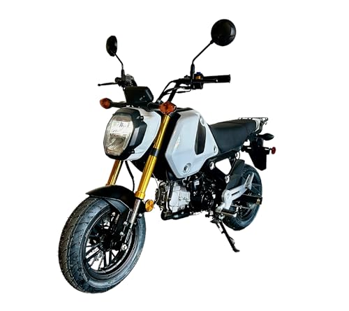 125cc Gas-Powered Street Motorcycle A4933