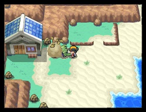 Pokemon HeartGold Version F16538