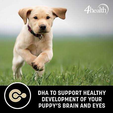 Grain Free Puppy Dog Food O6545
