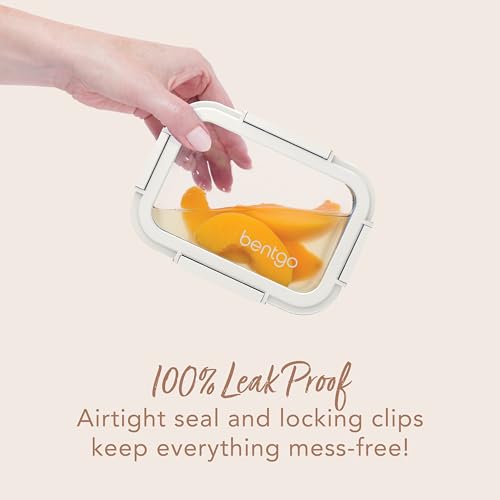 4-Piece Glass Food Storage Set Y965