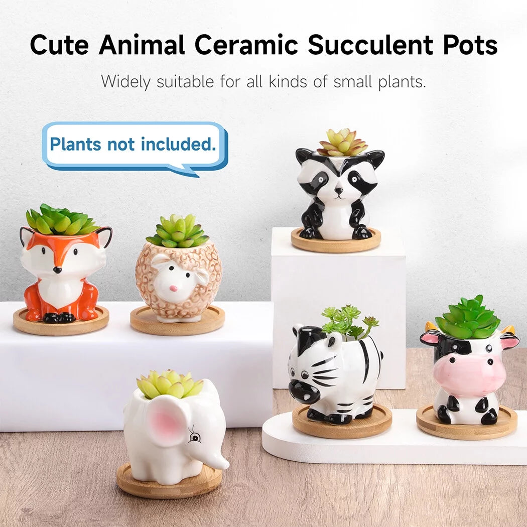 6Pcs Ceramic Succulent Planter Set M46456