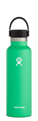 Stainless Steel Standard Mouth Bottle with Flex Cap Y929