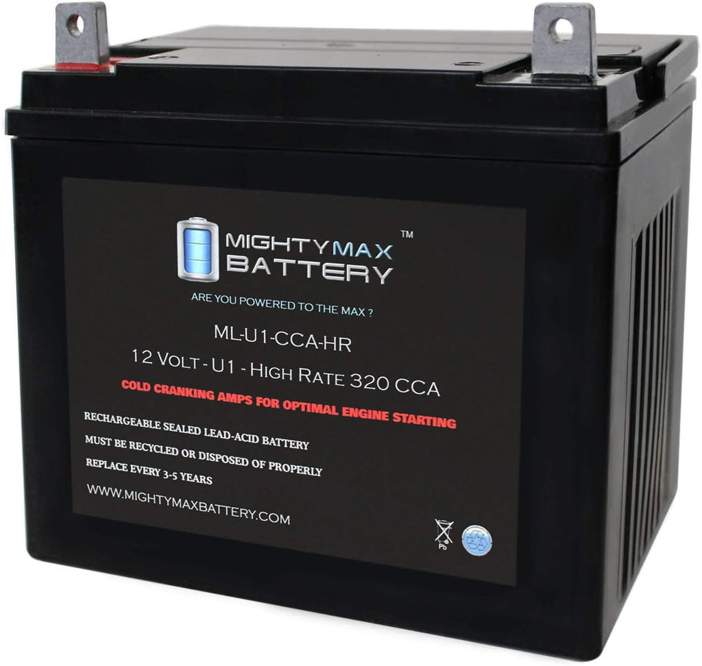 12V 320CCA Battery C554