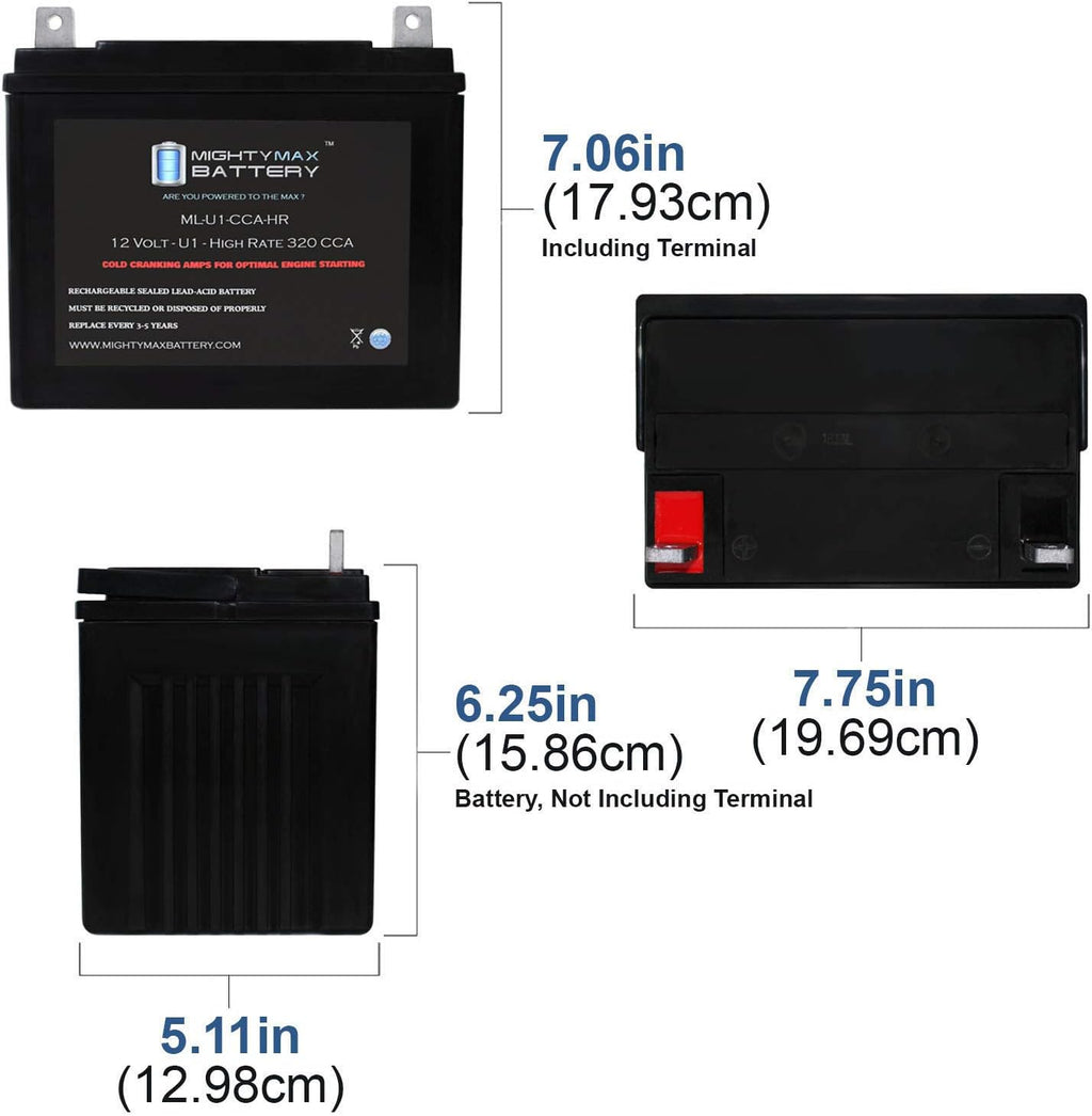 12V 320CCA Battery C554