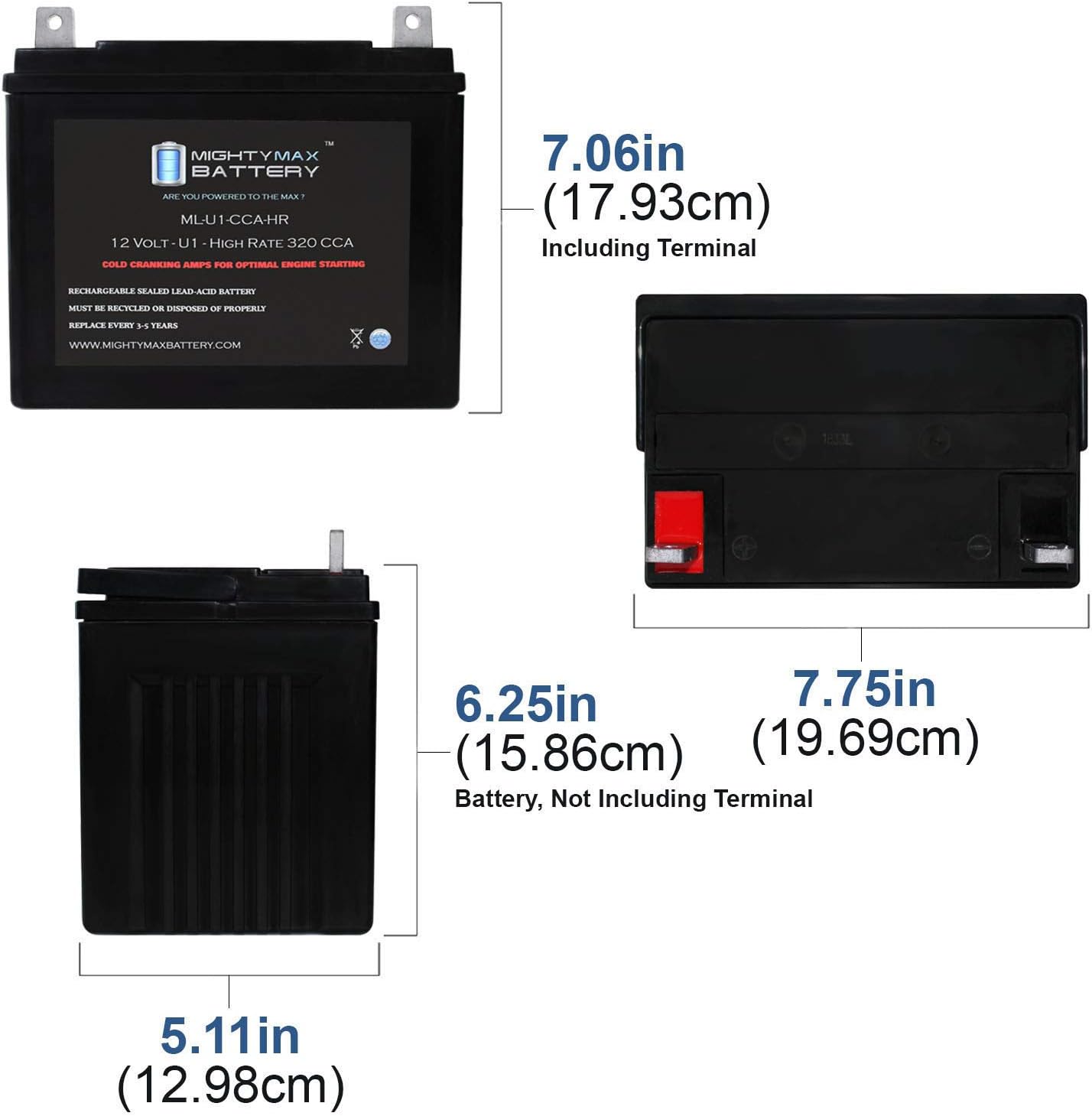 12V 320CCA Battery C554
