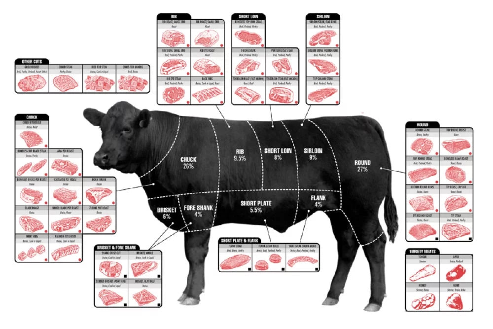 12In x 16In Metal Print Cattle Diagram Poster N250421