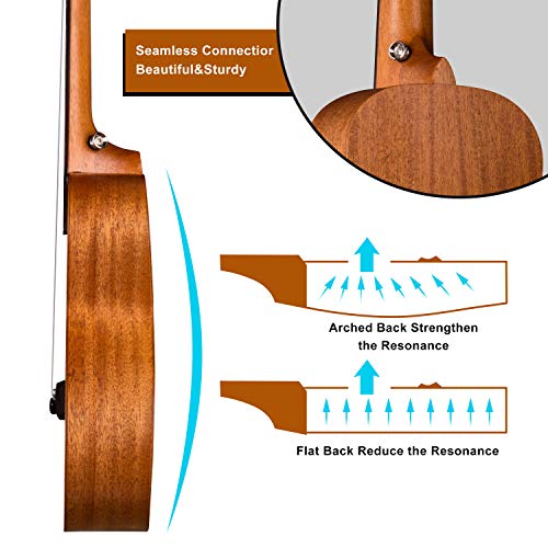 Natural Matt Concert Mahogany Ukulele Kit E38427